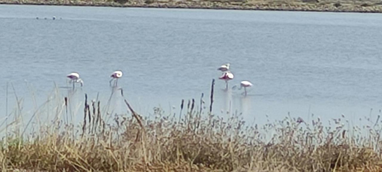 הייר Maison De Vacances A L'Ayguade Classee 3 Etoiles, Climatisee,3Mn A Pied Plage Et Restos ,5Mn Aeroport, 10Mn Gare מראה חיצוני תמונה